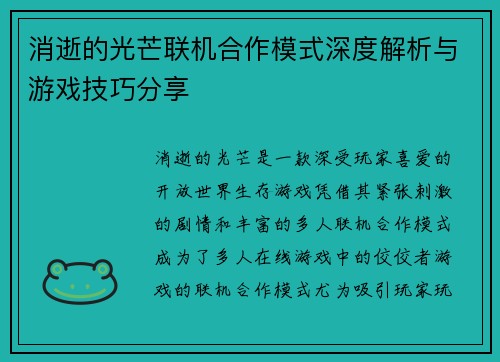 消逝的光芒联机合作模式深度解析与游戏技巧分享